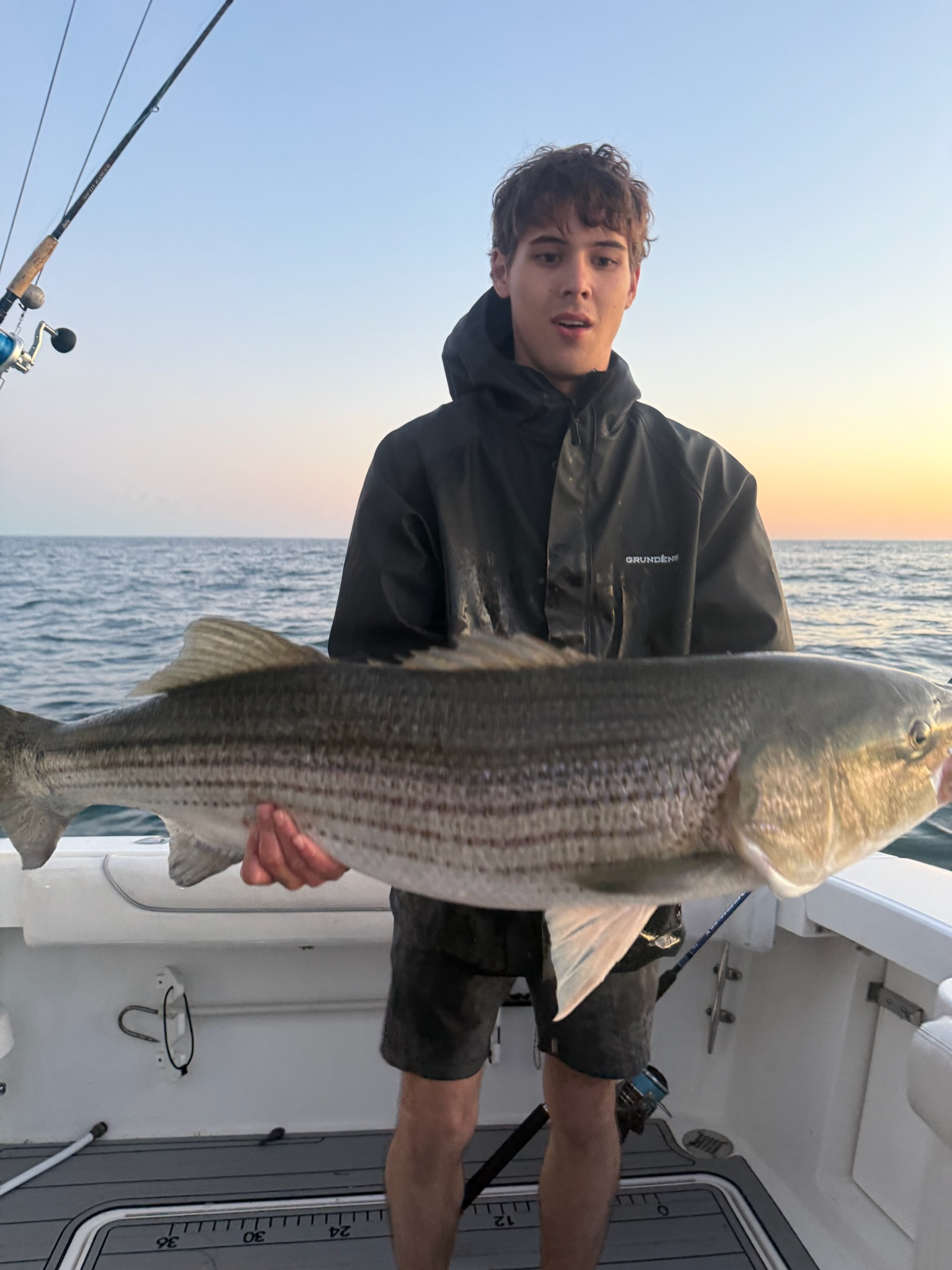 Angler holding large striped bass at sunset
