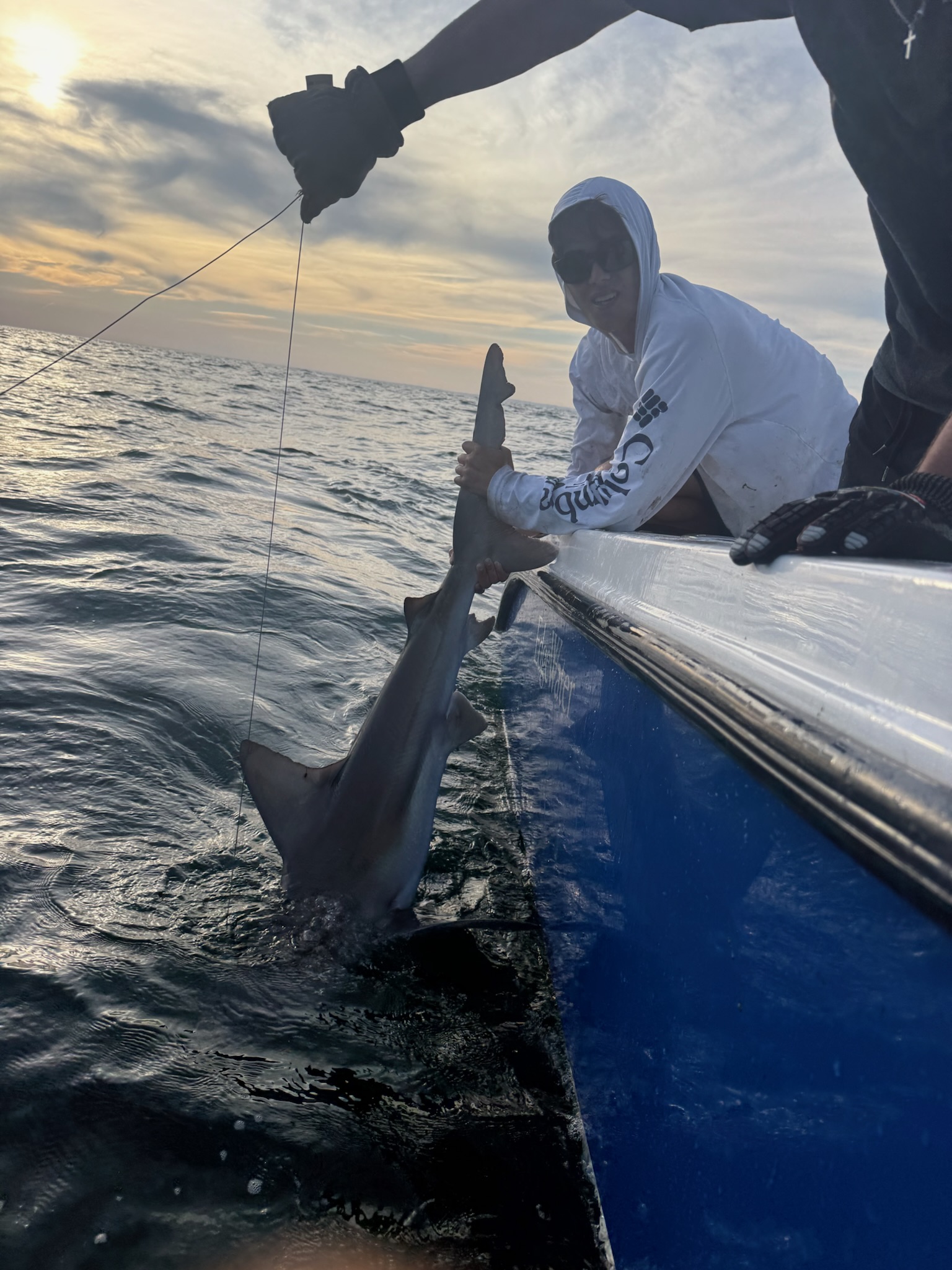 Shark release at sunset from boat side