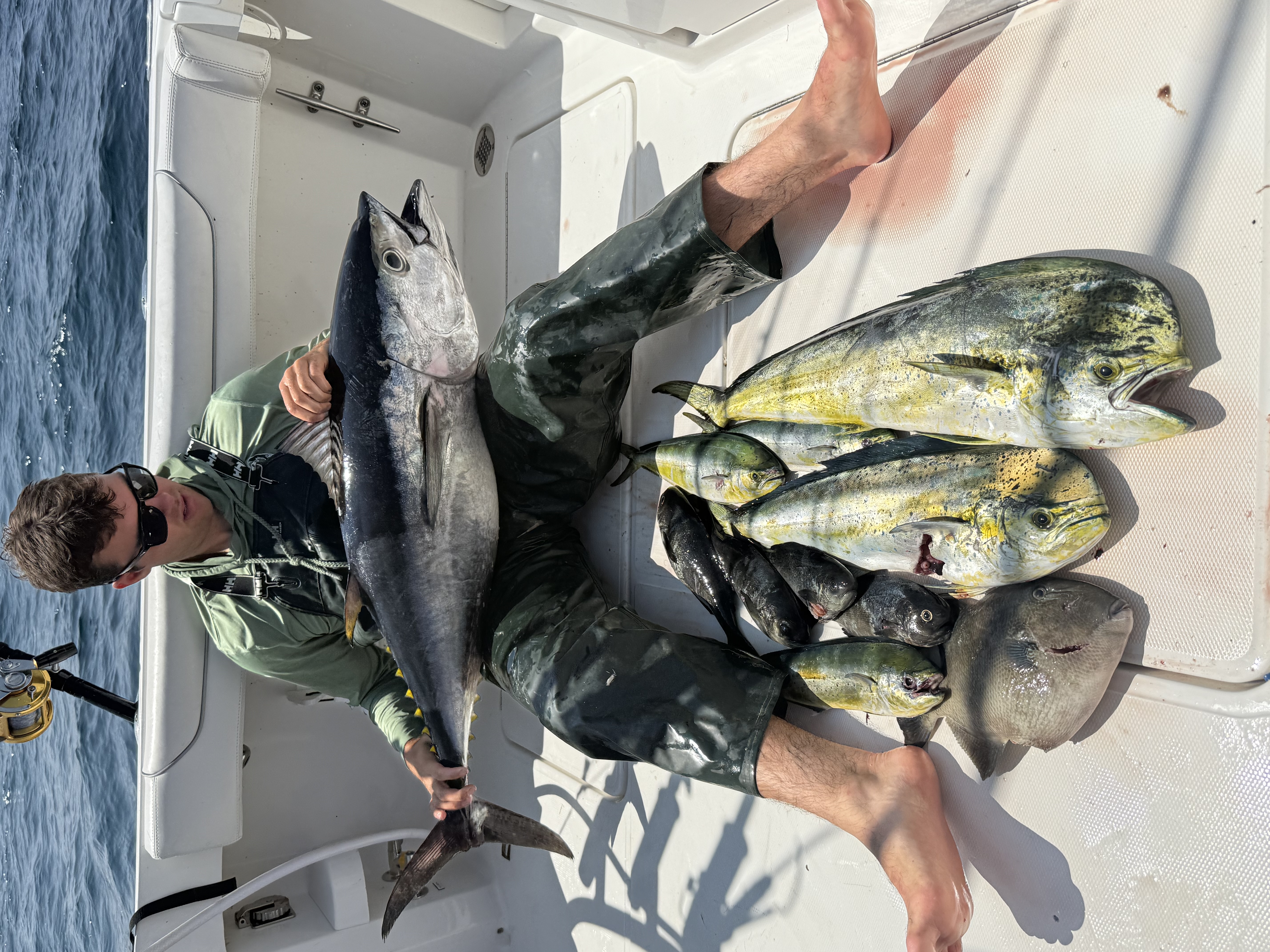 Mixed Bag