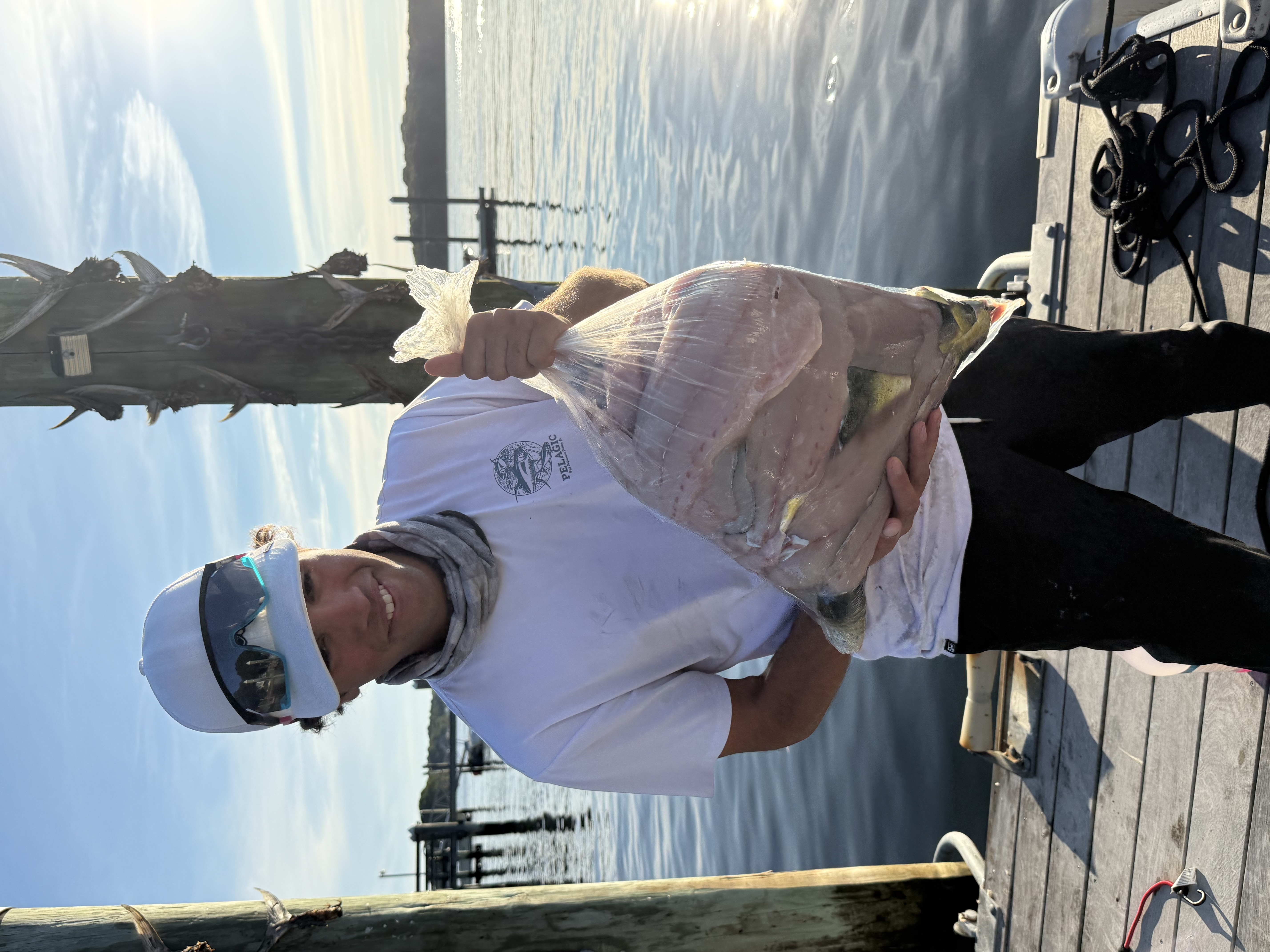 Diver with two tautog and speargun