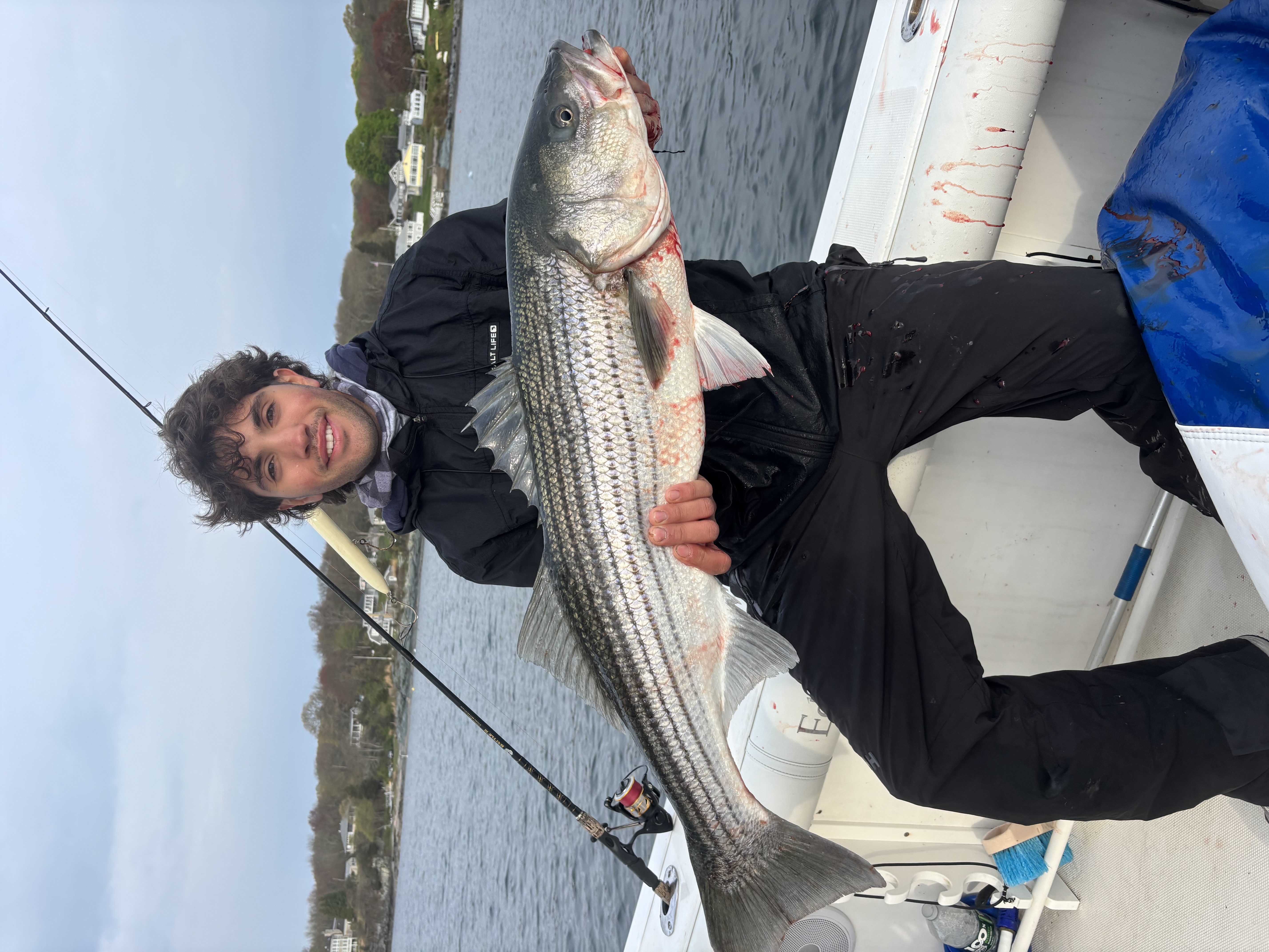 Angler holding a striped bass
