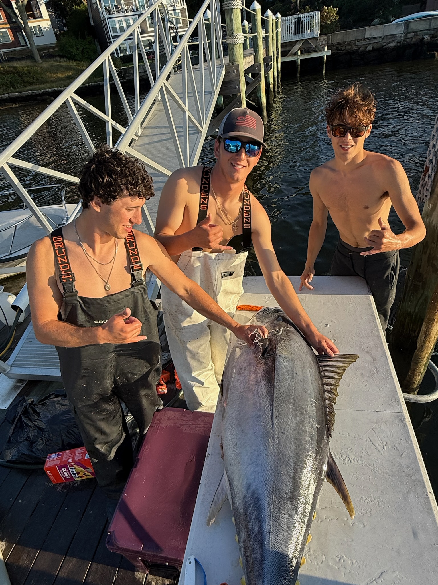 Striped bass at amber sunset