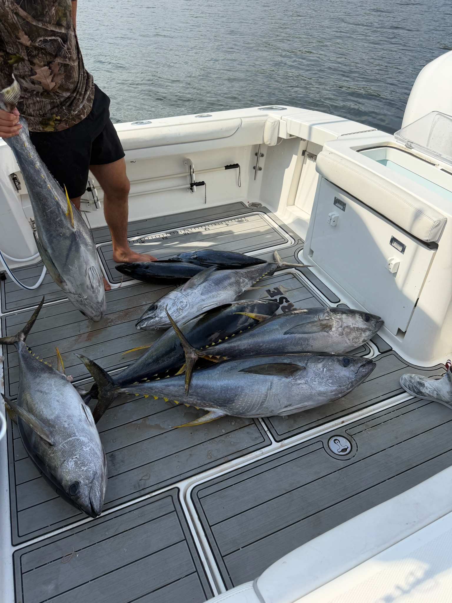Yellowfin tuna haul on Albemarle deck five-six fish