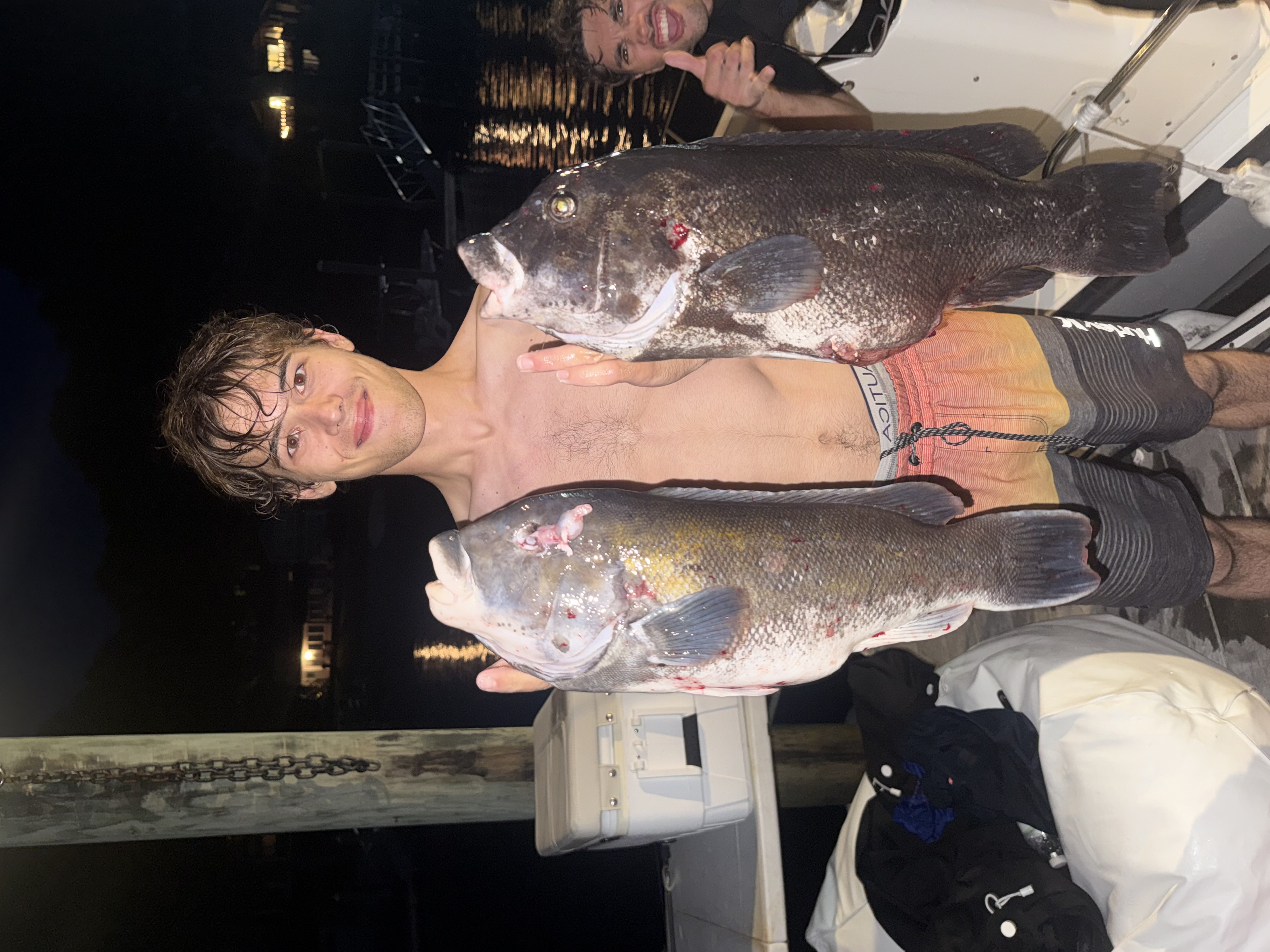 Angler holding two large tautog at night dock
