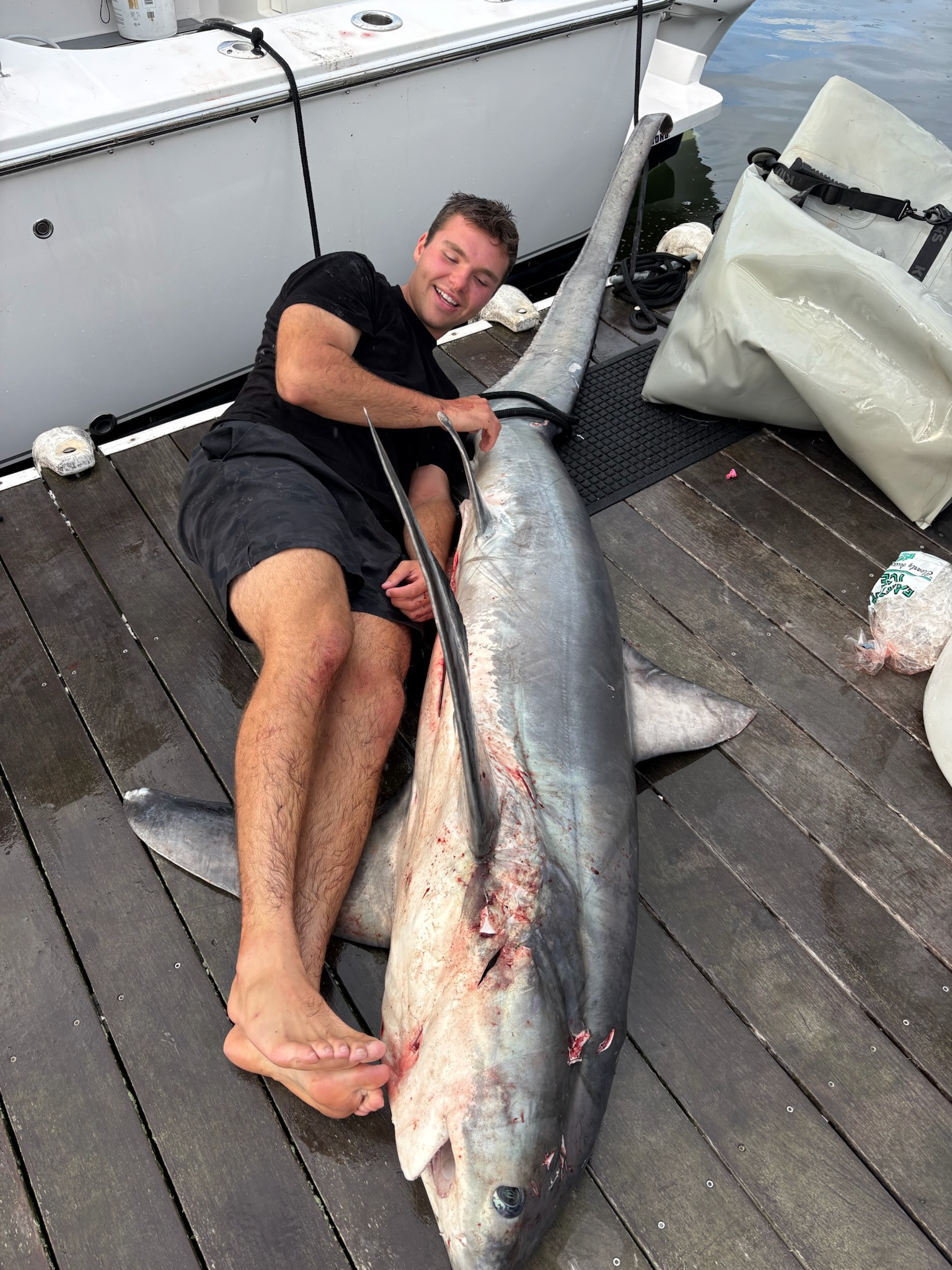 Angler lying next to large thresher shark on dock