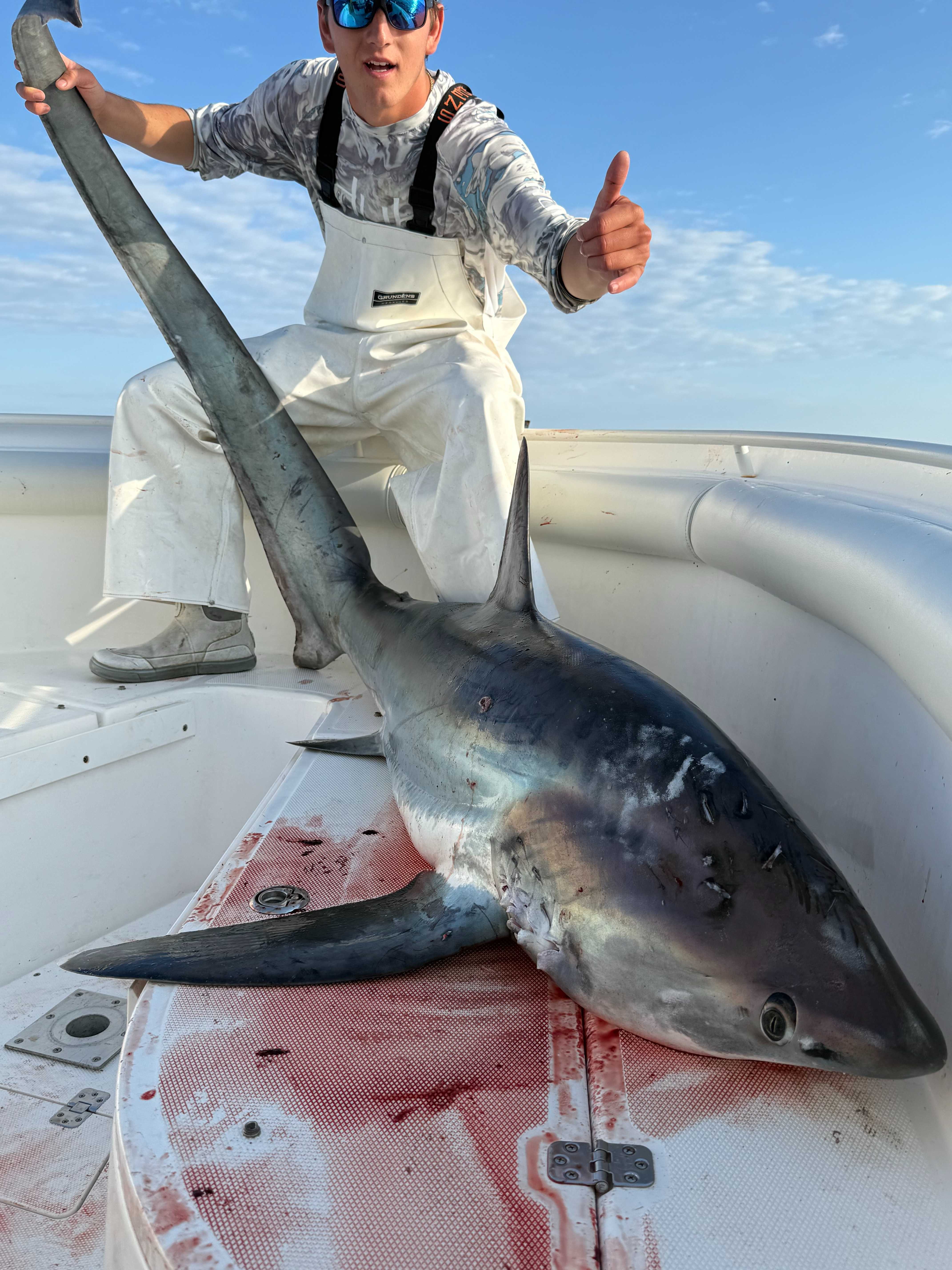 Mako shark on the deck