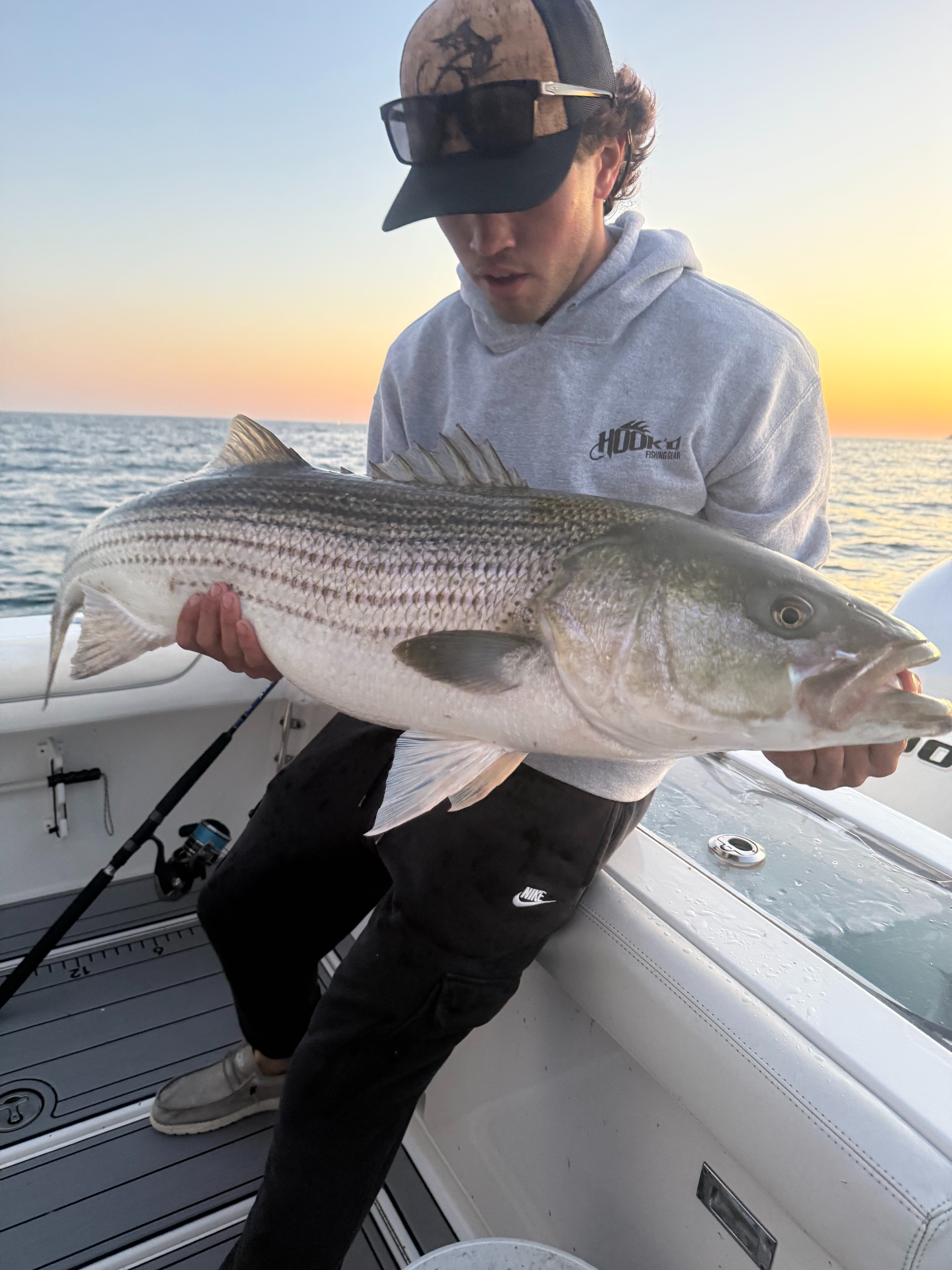 Striped bass at amber sunset