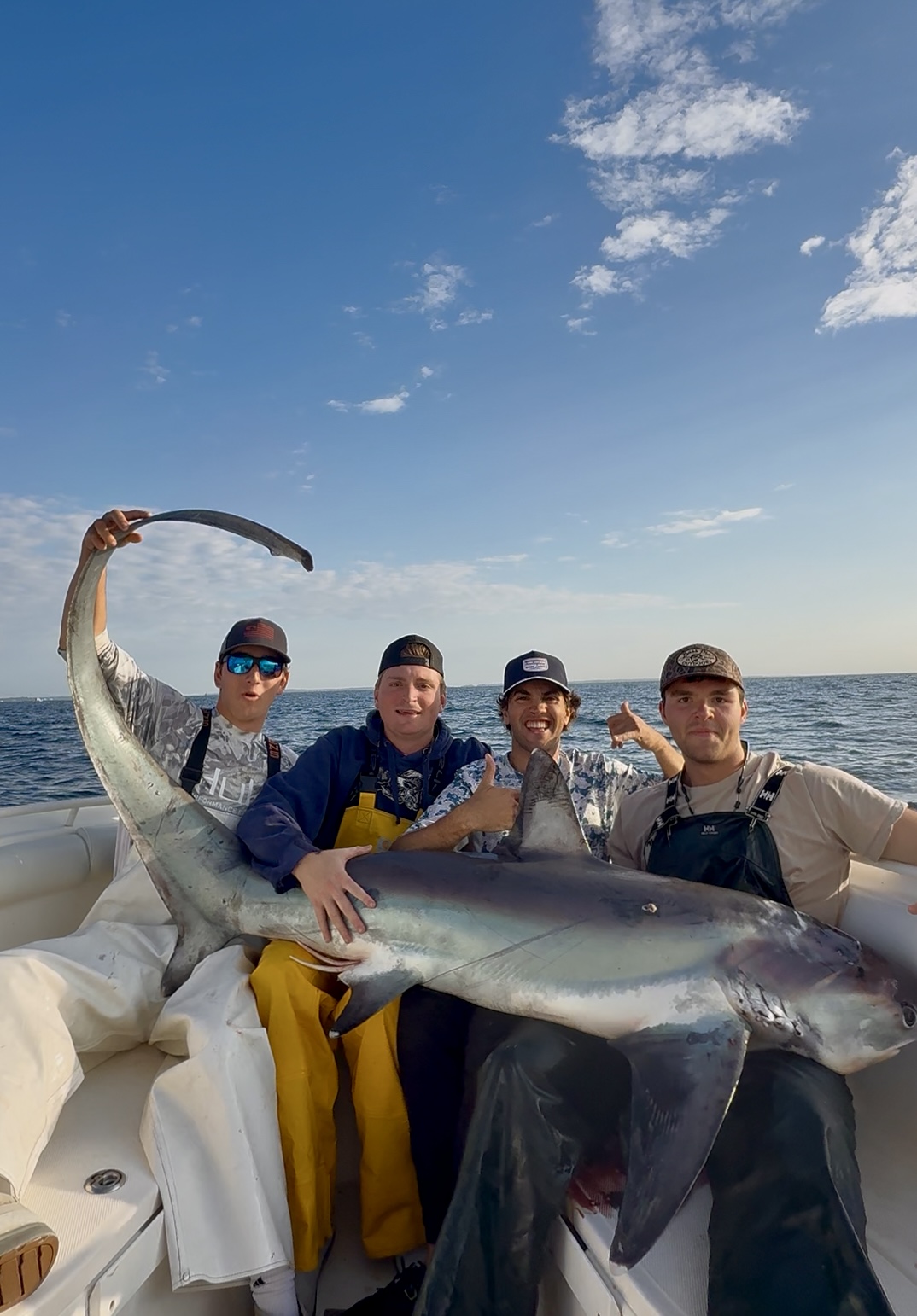 Four anglers with a thresher shark